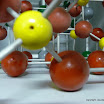 P1010043.JPG