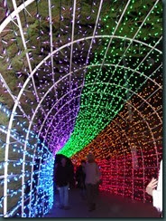 Christmas Market, Cambria lights 011