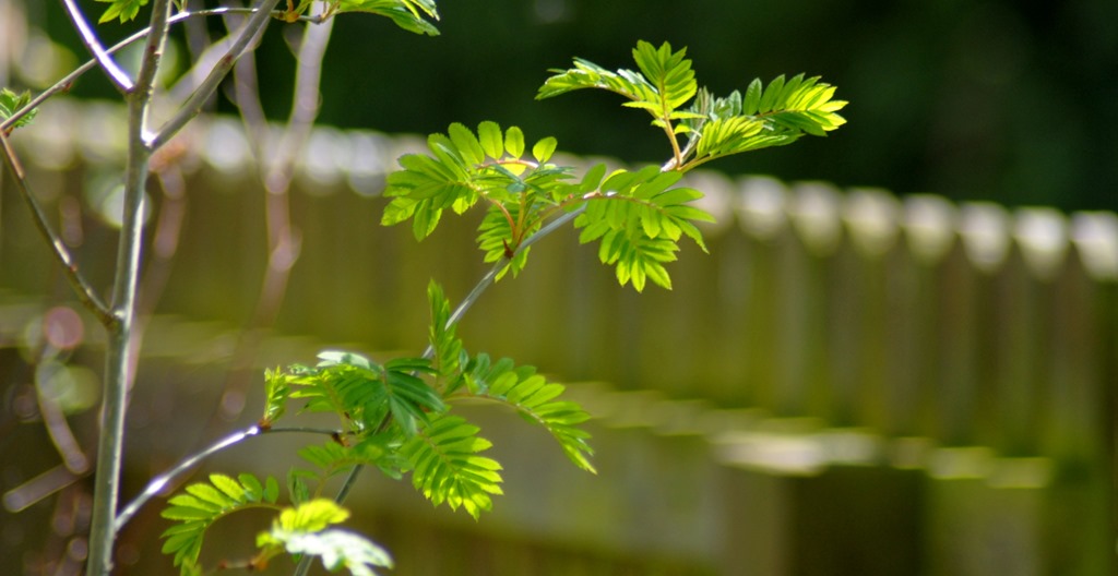 [21%2520May%25206-001%255B3%255D.jpg]