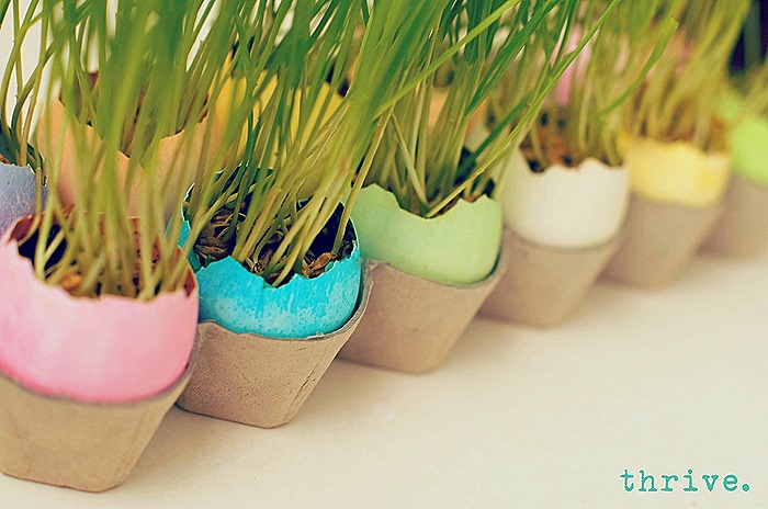 Easter Egg Wheat Grass Centerpiece from THRIVE