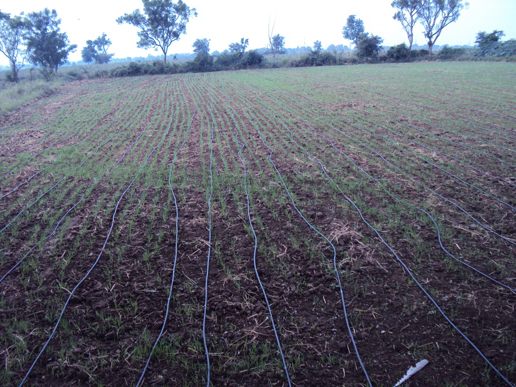 [DSC00474%255B5%255D.jpg]