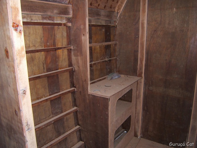 [Sutes0171.jpg]