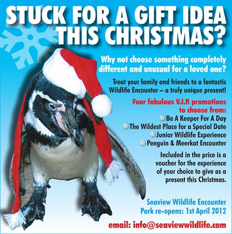 [Seaview%2520Xmas%2520web%2520ad%255B3%255D.jpg]