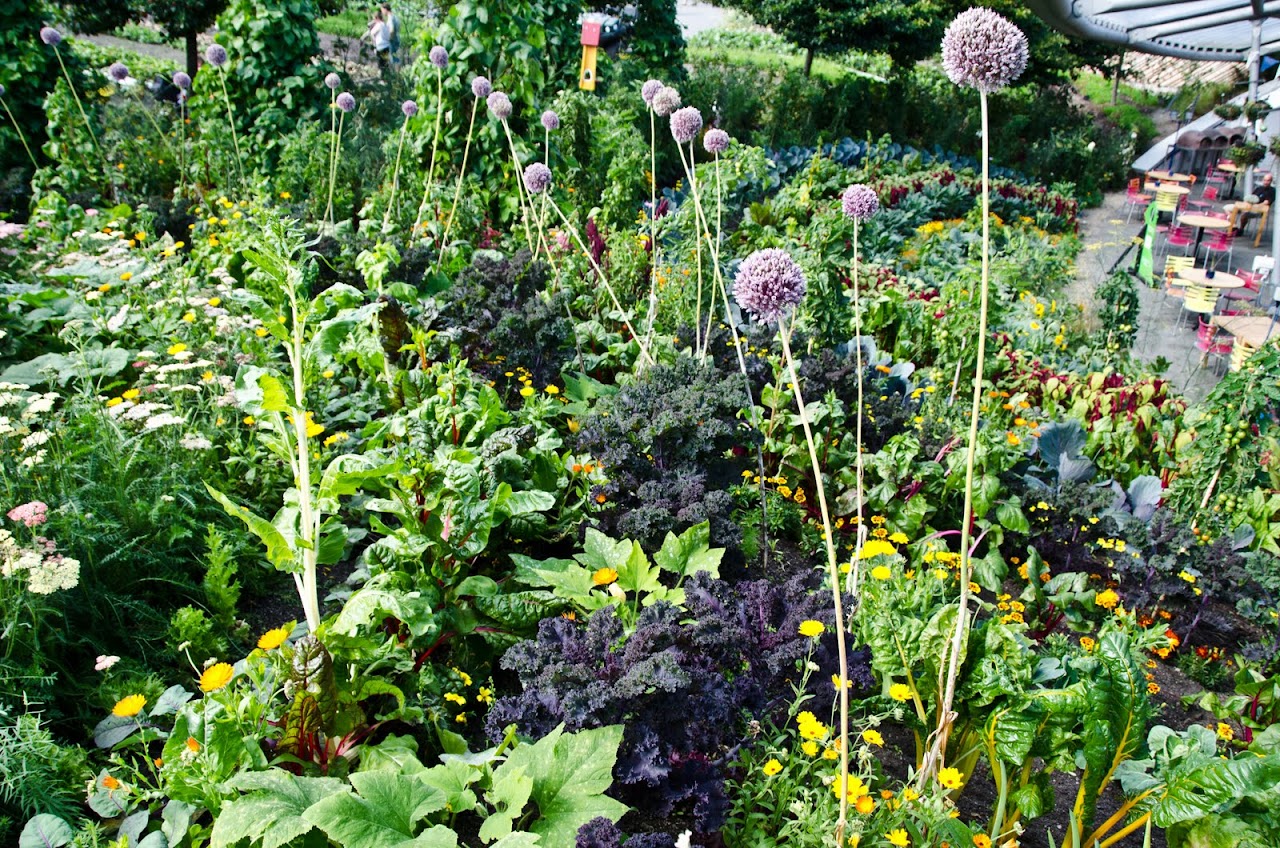 Eden Project