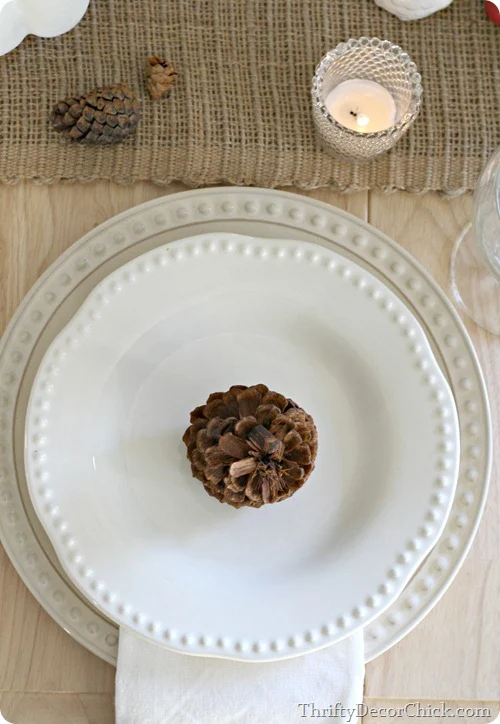 natural fall place setting
