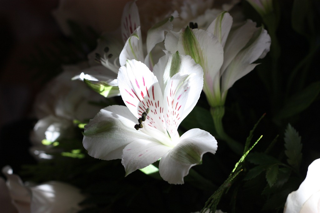 [IMG_7151%255B4%255D.jpg]
