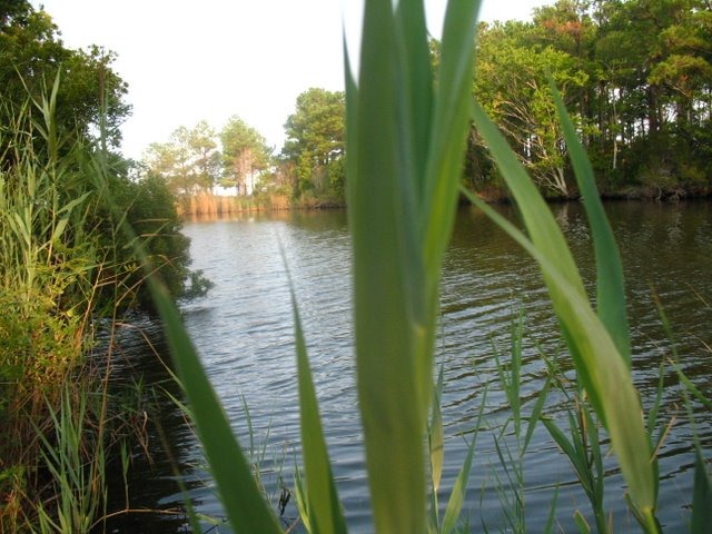 [IMG_6131%255B3%255D.jpg]