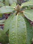 DSC03051.JPG