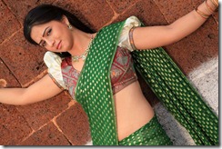 Actress-Nisha-shah-saree_pic_sexy