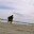 DSC_0458.jpg