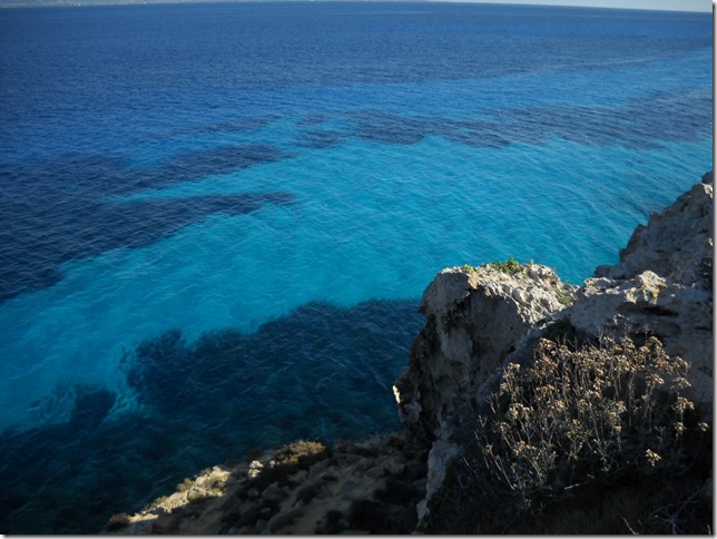 favignana 185