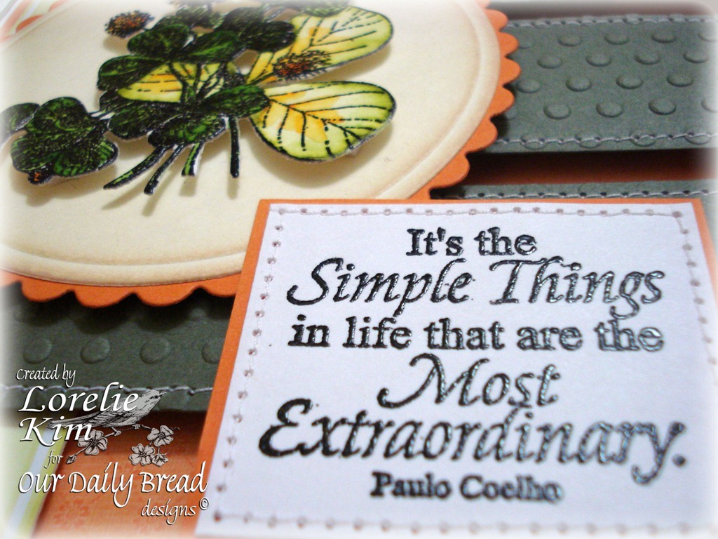 [DSC04354%255B6%255D.jpg]