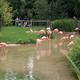 IMG_3964.jpg