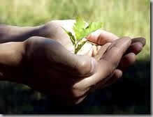 humility-2 humility-2