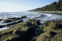 Shoreline views.