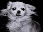 Here is the snapshot Delia worked with. Here is the snapshot Delia worked with.
