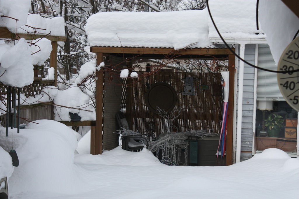 [IMG_6953%255B3%255D.jpg]