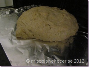 IMG_3608 IMG_3608