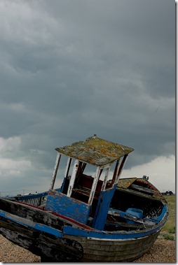 dungeness 069