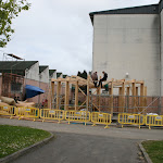 IMG_9803.JPG