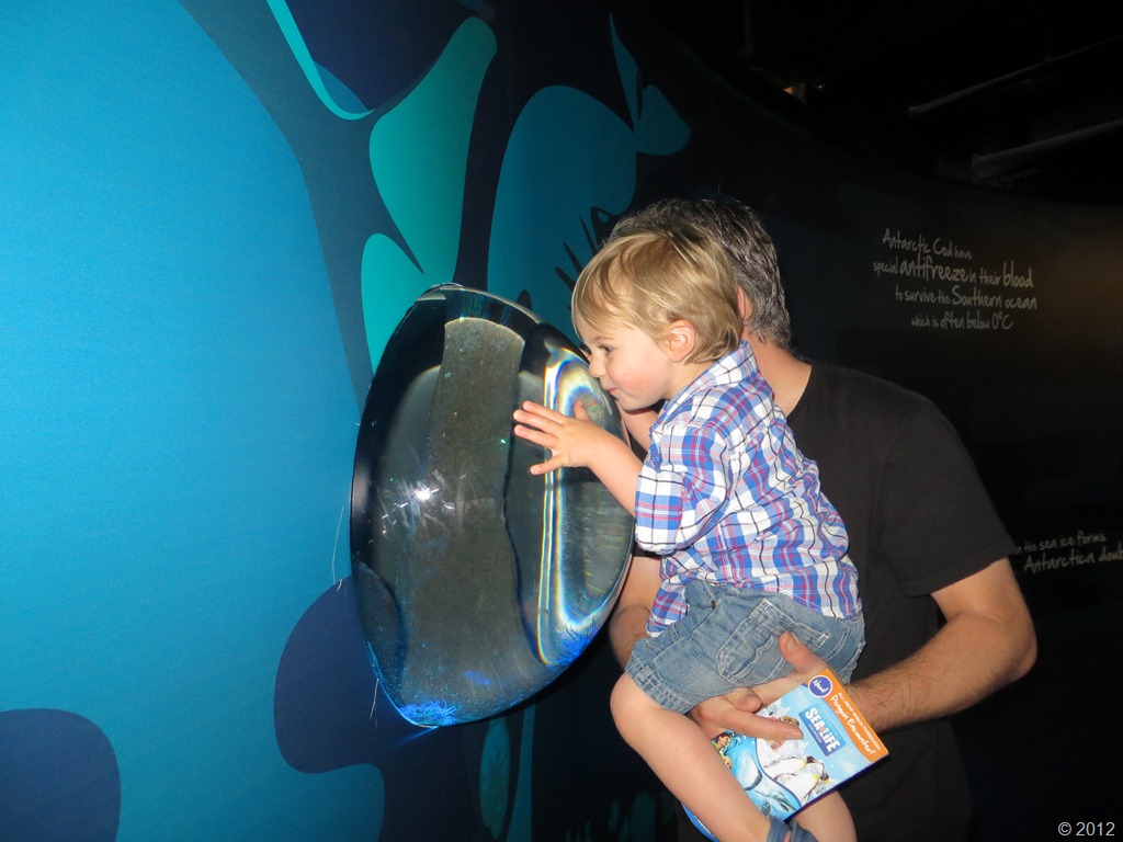 [IMG_0691%255B6%255D.jpg]