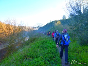 [P11303293.jpg]
