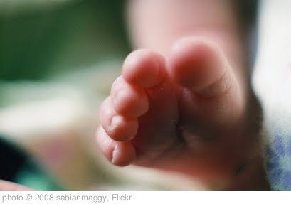'Baby toes' photo (c) 2008, sabianmaggy - license: http://creativecommons.org/licenses/by/2.0/