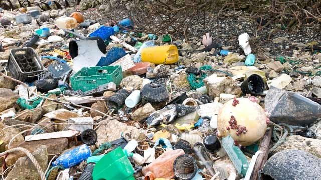 Plastic and other debris pollute a beach on Midway Island, 20 August 2012. Daisy Gilardini / Danita Delimont Photography / Newscom