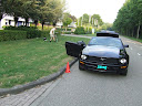 mustang 003.jpg
