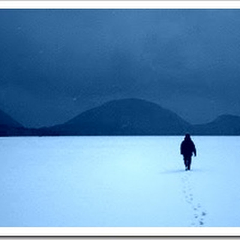 The Winter