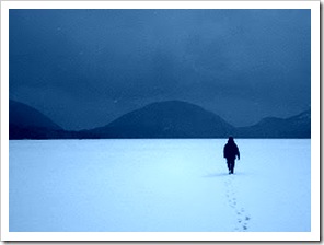 The Winter