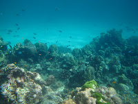 IMG_0925.JPG