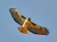 DSC_7566.jpg