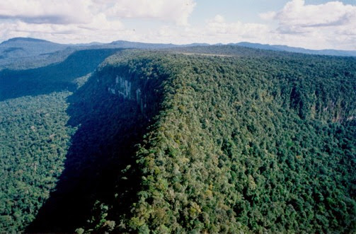Monte Caburaí - Uiramutà, Roraima Monte Caburaí - Uiramutà, Roraima