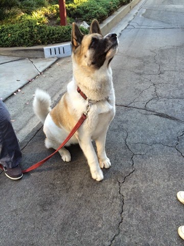 [045%255B3%255D.jpg]