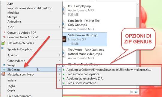zip-genius-opzioni zip-genius-opzioni