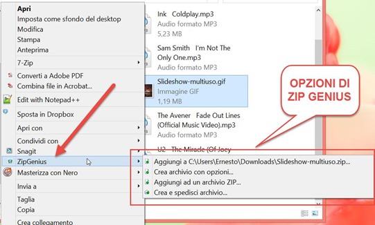 zip-genius-opzioni