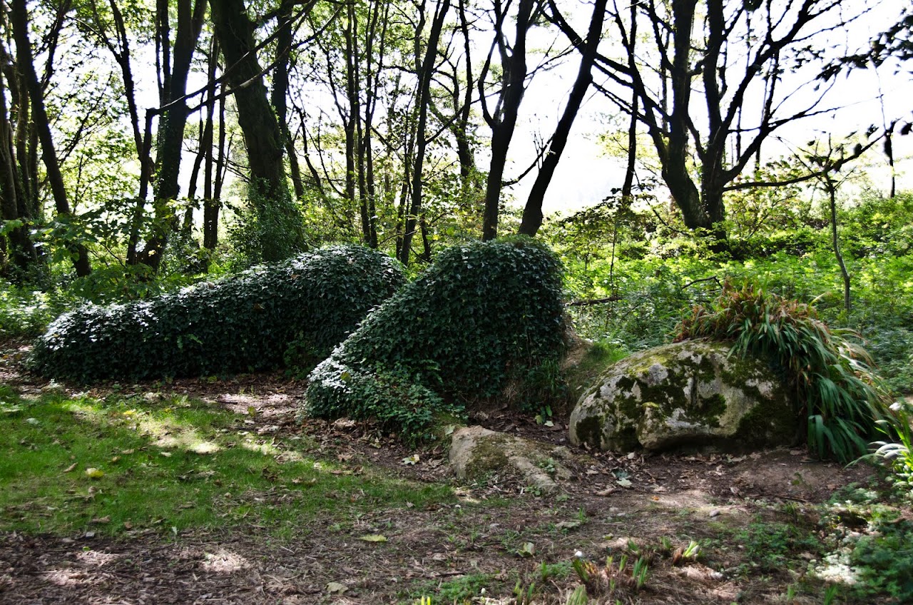 Lost Gardens of Heligan