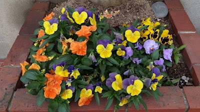 2014-05-01 08.19.22.jpg