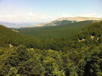 IMG_1461.JPG