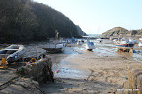 IMG_6049.JPG Photo