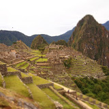 P5263292.JPG