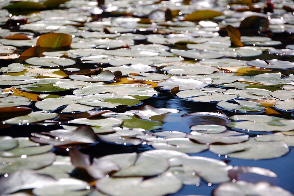 [DSC_0373%255B7%255D.jpg]