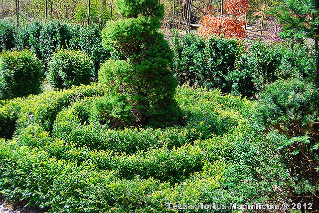 [DSC_0011%255B10%255D.jpg]