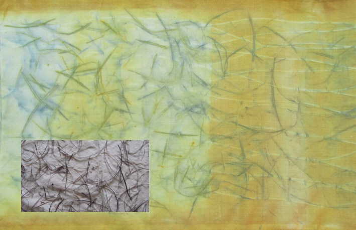 [ECO-PRINT-Blutpflaumenrinde-auf-Woll%255B2%255D.jpg]
