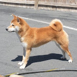 DSCN5071.jpg