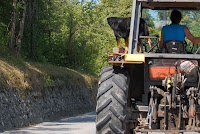 hund på traktor.jpg Photo hund på traktor.jpg Photo