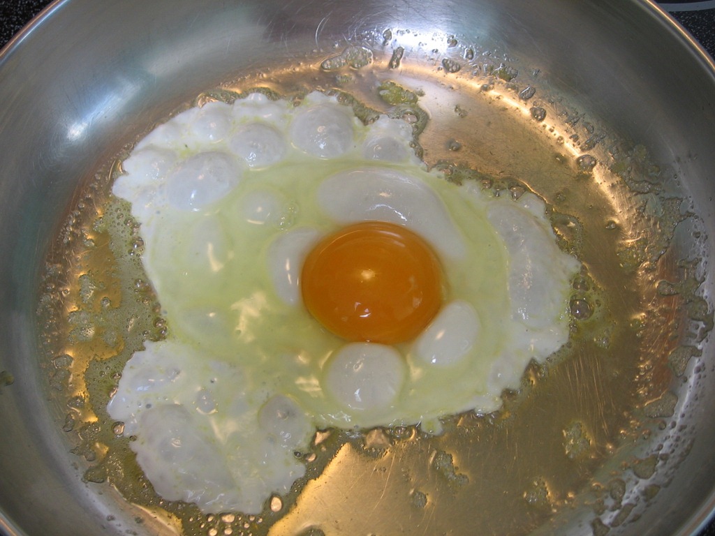 [Chicken%2520050%255B4%255D.jpg]