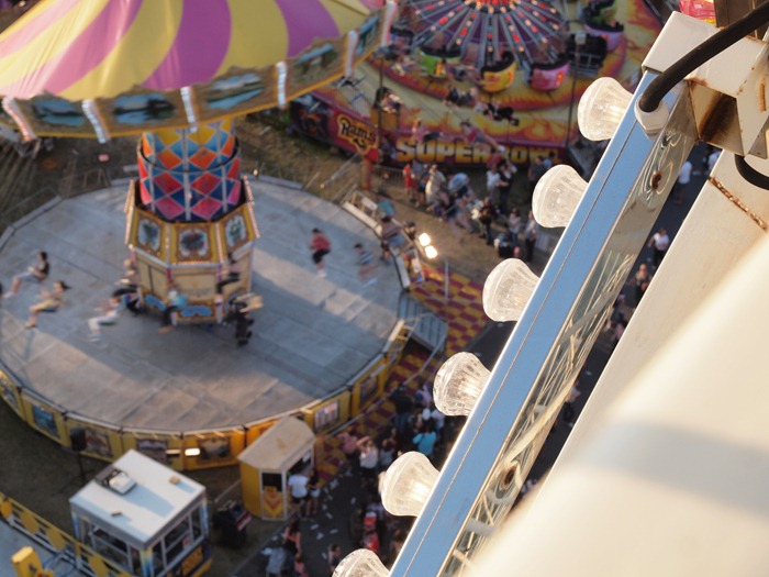 13. royal show