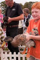 Kineton duck